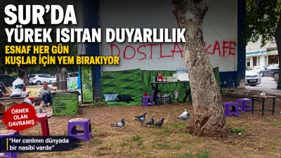 Sur&rsquo;da Y&uuml;rek Isıtan Duyarlılık