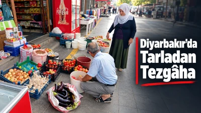Diyarbakır&rsquo;da tarladan tezg&acirc;ha