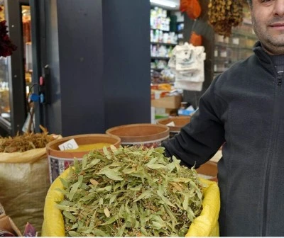 Diyarbakır’da Ihlamur Fiyatları Rekor Seviyelere Çıktı