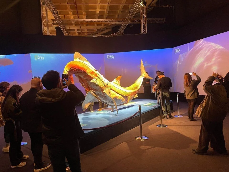 Gerçek Hayvanların Anatomisi 9 Tırla Taşındı