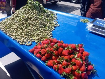 &Ccedil;ağla ve &ccedil;ilek tezg&acirc;hlarda yerini aldı