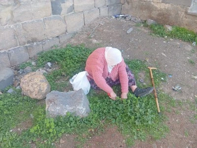 Diyarbakır&rsquo;da 43 yıldır doğadan topladığı otlarla ge&ccedil;imini sağlıyor