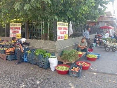 Diyarbakır&rsquo;da Turşuluk sebzeler tezg&acirc;hları doldurdu