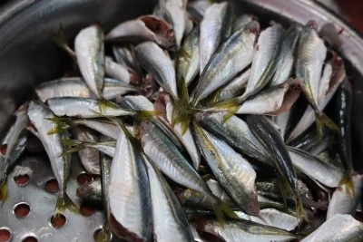 Denizi Olmayan Diyarbakır&rsquo;da Balık Tezg&acirc;hları Hareketlendi