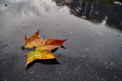 Türkiye Sıcak Hava Dalgasının Etkisinde: Trakya’da Kuvvetli Rüzgâr Uyarısı