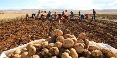 Diyarbakır’da Vatandaş Enerji ve Ulaşım Masraflarından Şikâyetçi