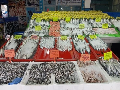 Diyarbakır&rsquo;da balık avı yasağı sonrası tezg&acirc;hlarda &ccedil;eşit azalıyor