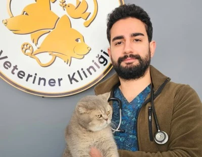 Sokak hayvanları zor durumda&nbsp;