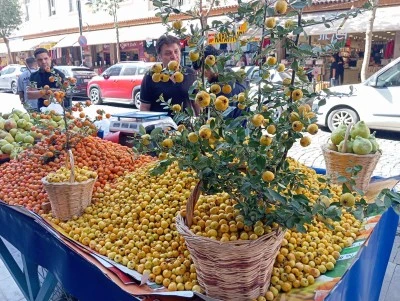 Diyarbakır’da Sonbaharın Şifası: Dağ Alıcı Tezgâhlarda Yerini Aldı