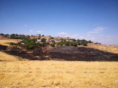 Hasat Sezonunda Gizli Tehlike