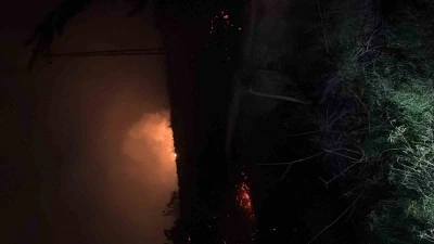 Hatay’da çıkan otluk yangını söndürüldü