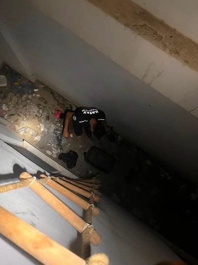 Hatay&rsquo;da mahsur kalan hayvanlar kurtarıldı