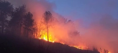 Hatay’daki orman yangını ekiplerin müdahalesiyle kontrol altına alındı