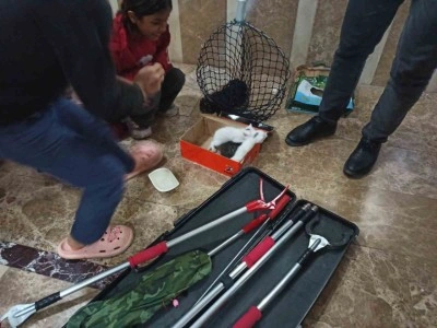 Havalandırma boşluğuna giren yavru kediler kurtarıldı