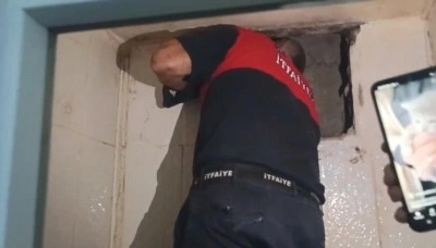 Yavru kediyi itfaiye kurtardı