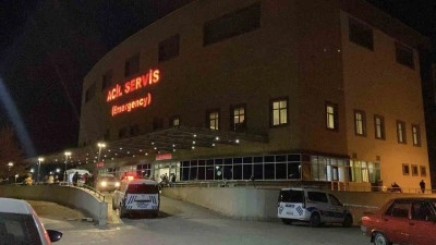 &lsquo;Hayvan otlatma&rsquo; kavgası kanlı bitti: Komşusunu &ouml;ld&uuml;r&uuml;p intihar etti