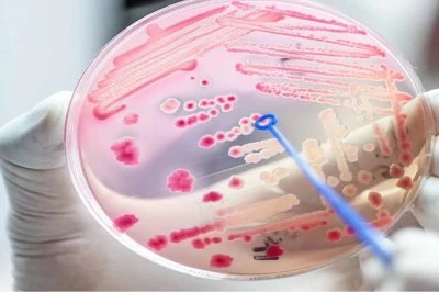 Her Yıl 30 Milyondan Fazla Kişiyi Etkiliyor