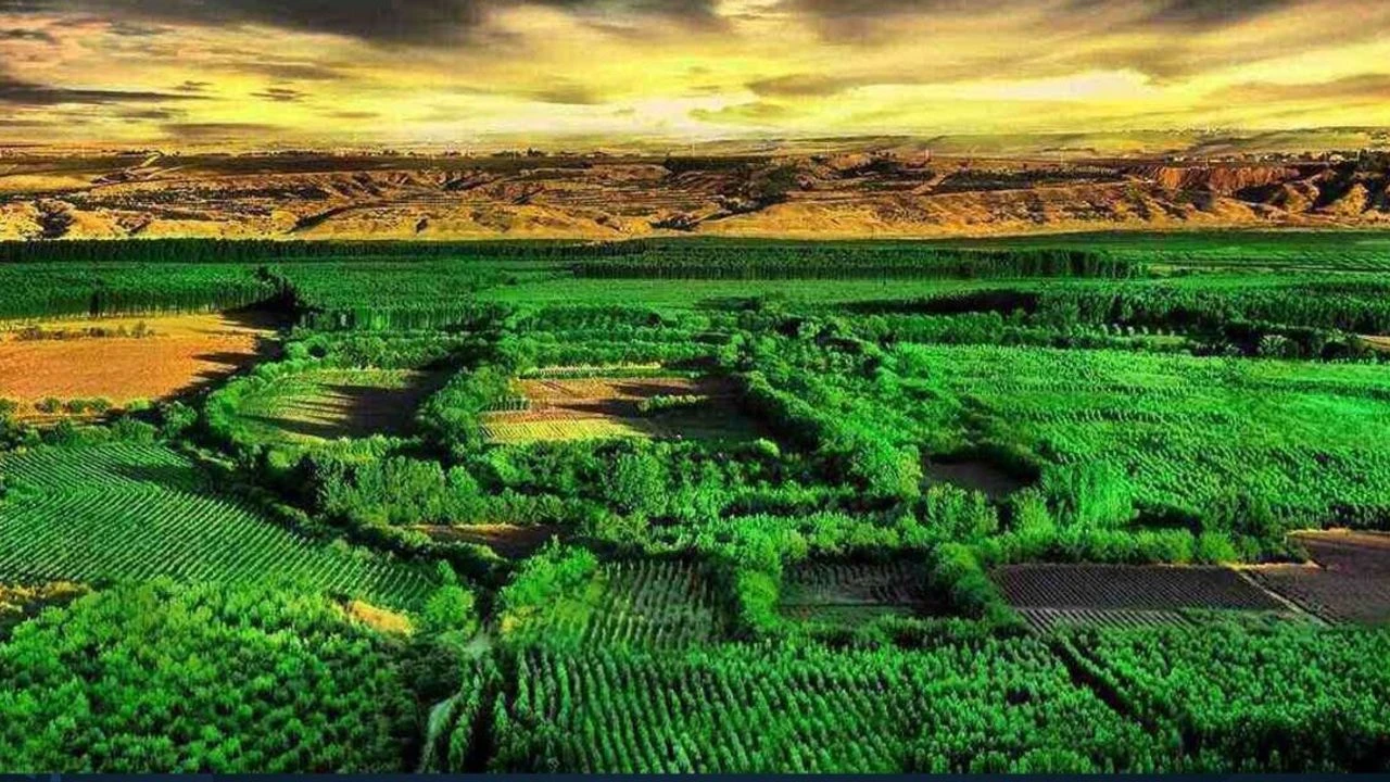 Hevsel Bahçeleri: Diyarbakır’ın Yeşil Mirası