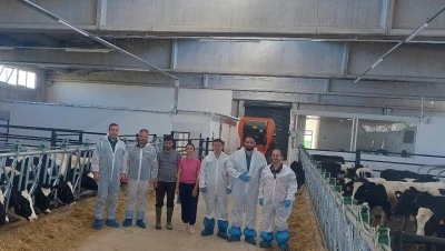 Hisarcık&rsquo;ta ilk hastalıktan ari b&uuml;y&uuml;kbaş işletmesi i&ccedil;in &ouml;nemli adım