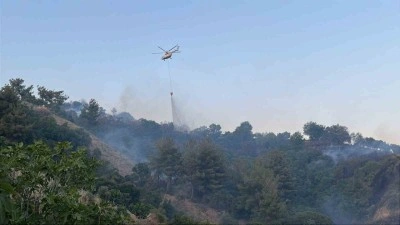 Horozköy yangını kontrol altına alındı