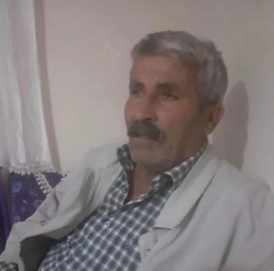 İnek, Sahibinin Canına Mal Oldu
