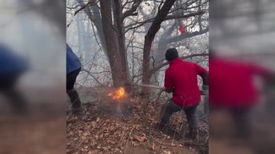 İran&rsquo;dan orman yangınlarıyla m&uuml;cadelede yardım talebi: T&uuml;rkiye 2 u&ccedil;ak g&ouml;nderiyor