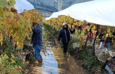 İş&ccedil;iler yağmur ve &ccedil;amuru aldırış etmeden &uuml;retime devam ediyor