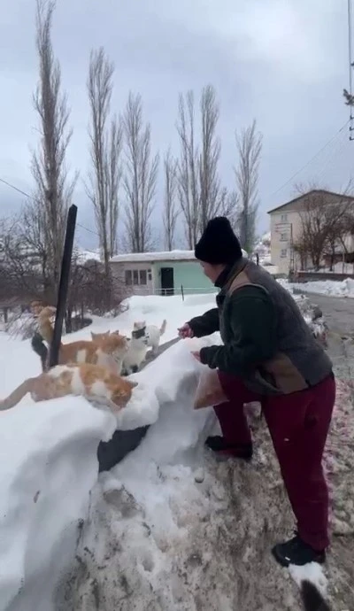 İstanbul&rsquo;dan Diyarbakır&rsquo;a Uzanan Vicdan K&ouml;pr&uuml;s&uuml;