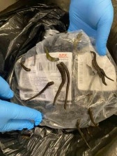 İstanbul Havalimanı&rsquo;nda 5 bin adet tıbbi s&uuml;l&uuml;k ele ge&ccedil;irildi