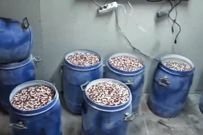 İstanbul ve İzmir’de Eş Zamanlı Uyuşturucu Operasyonu: 7 Milyon Hap Ele Geçirildi