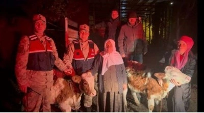 Jandarma &ccedil;alınan hayvanları sahibine teslim etti