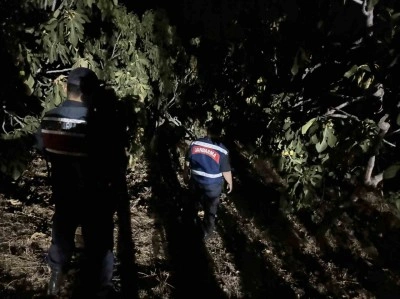 Jandarma incir hırsızlarına göz açtırmıyor