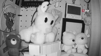 Japonya'da 6,7 büyüklüğünde deprem