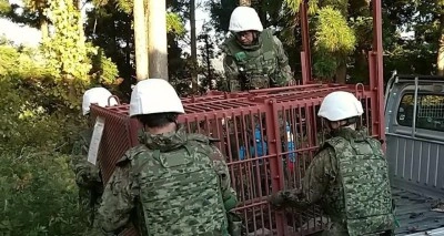 Japonya'da ayılar 12 kişiyi &ouml;ld&uuml;rd&uuml;, askerler n&ouml;bet tutmaya başladı