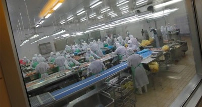 Japonya'da kuş gribi alarmı verildi