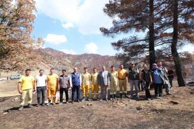 Kahramanmaraş’ta Yanan Ormanlar Yeniden Yeşerecek