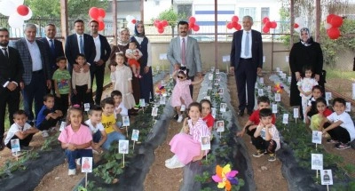 Kahta’da miniklerden çilek hasadı