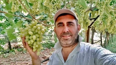 Kaliteli üzüm üretimiyle Sarıgöl’de örnek bağ