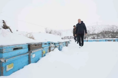 Arıcılar sezonundan &uuml;mitli