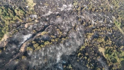 Orman yangını 12 saat sonra kontrol altına alındı