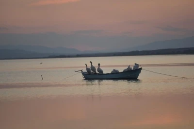 Karacabey’de çeltik ekimi yasaklandı