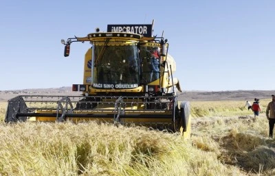 Karacadağ Çeltiği Bereketiyle Yüz Güldürdü: 2025 Hasadı Coşkuyla Toplandı