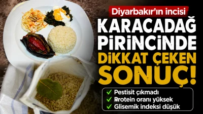 Karacadağ Pirinci İ&ccedil;in Dikkat &Ccedil;eken Sonu&ccedil;