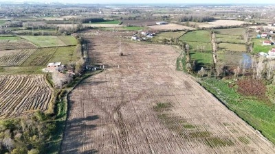 Karadeniz&rsquo;in en b&uuml;y&uuml;k incir projesi: 50 milyon TL gelir kız &ccedil;ocuklarına verilecek