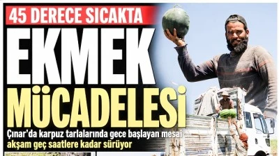Karpuz TarlasındaEkmek M&uuml;cadelesi