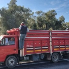 Karpuzlu&rsquo;da hayvan sevkiyatına denetim