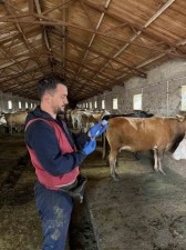 Kars'ta şap önlemi: 150 bin doz aşı yapıldı