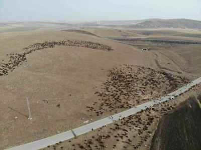 Kars’ta göçerlerin zorlu yolculuğu başladı