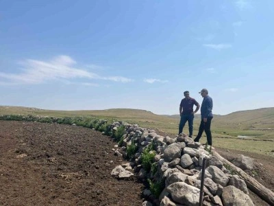 O ilimizde şap hastalığıyla mücadele sürüyor