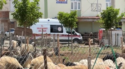 Kasaplardan Kurban Bayramı &ouml;ncesi uyarı